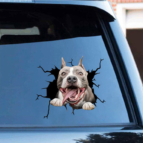 Decoração De Adesivos Para Animais De Estimação J Personalit