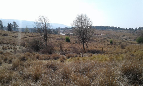 Excelente Lote De 3 Tres Hectáreas En Villa Berna - La Cumbrecita - Sierras De Córdoba