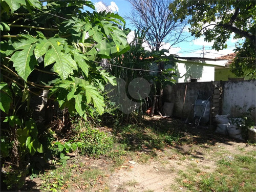 Imagem 9 de 15 de Terreno Na Vila Guilherme - Reo264343