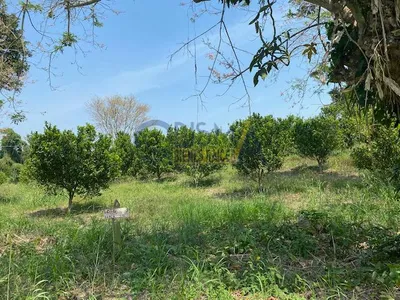 Rancho en venta