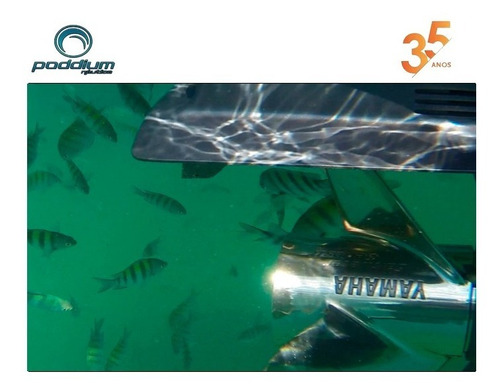 Imagem 8 de 8 de Motor De Popa Yamaha F300 Detx 4t+ Frete E/t Poddium Náutica