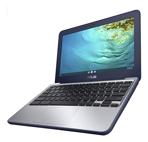 Asus Chromebook 11.6 Hd Celeron N3060 4gb Ram 16gb Emmc Color Plateado