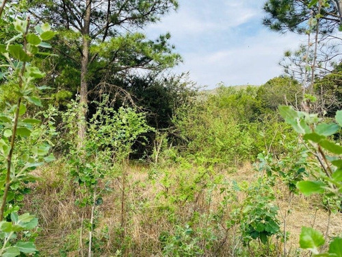 Imagen 3 de 8 de Venta De 4 Hectareas 7000m2 Sobre Ruta N5 Ciudad Parque Los Reartes - Tlc0644
