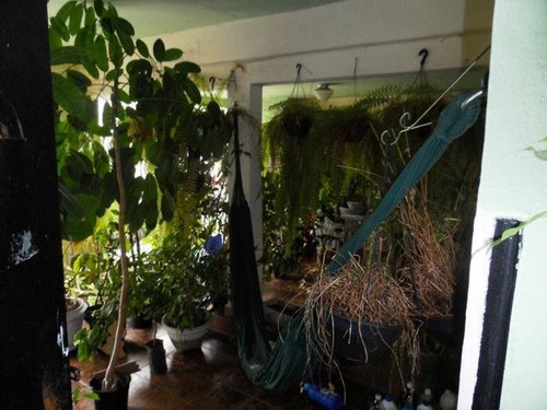 Imagem 2 de 20 de Casa A Venda Na Vila São José - 10549