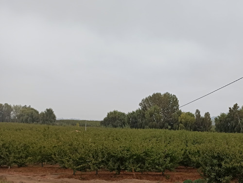 Campo, Terreno Agrícola, En Venta, 57,1ha, Chimbarongo