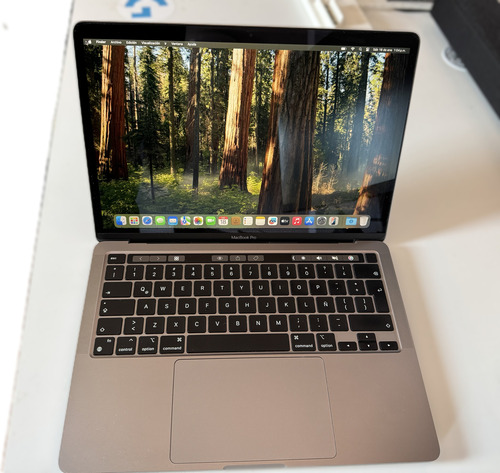 Apple Macbook Pro 13 In M2 8 Gb Ram 256 Gb Ssd Gris Espacial (Usado)