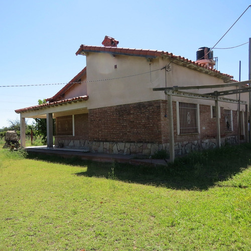 Imagen 2 de 13 de Vendo Finca Con Casa Estilo Chalet Y Produccion De Viña En San Rafael Mendoza