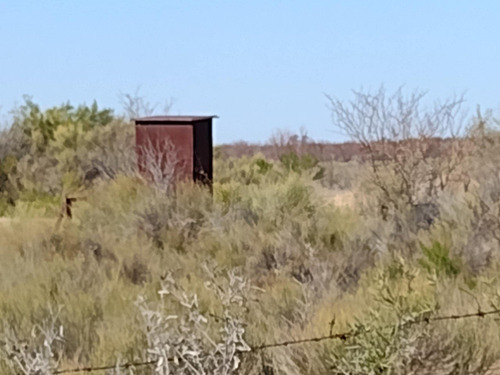 Vendo Finca En Blanco De 64 Hectareas En San Rafael Mendoza