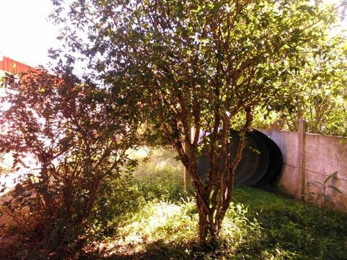 Imagem 8 de 15 de Chácara De 1.132,72 M² - Imaruí/sc - 2137