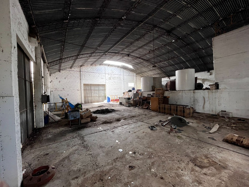 Venta Campo Empalme Olmos