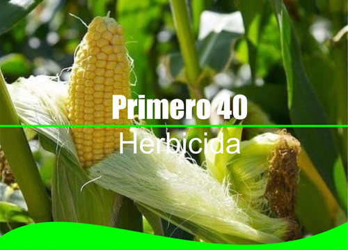 Primero 40 Herbicida Sistemico Y Selectivo