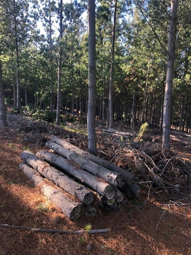 Terreno En Navidad, Localidad De Matanzas