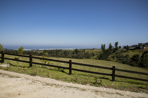 Reserva Natural En Punta De Lobos