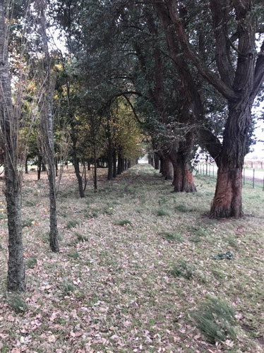 Venta 550 Hectareas Cañuelas Campo Mixto Ideal Ganadero U$s 6500 X Has.