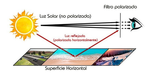 Imagen 2 de 6 de Anteojos De Sol Lentes Fight Braham
