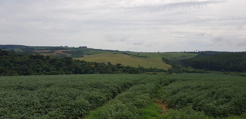 Imagem 7 de 9 de Fazenda 213 Alqueires, Dupla Aptidão, Topografia Plana, Rica Em Água Com Nascentes, Aproveitamento De 85%, Casa Sede, Casa Caseiro, Curral, Galpão - Fa00150 - 70381316
