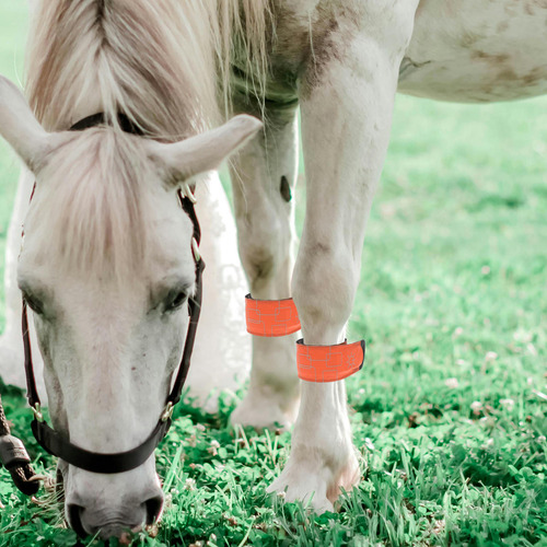 Tobilleras Led Para Caballos Ajustables En Altura, 4 Unidade