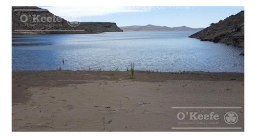 Imagen 2 de 28 de 8.805 Has En Neuquen Venta / Alquiler, Con 18 Km De Costa Del Embalse Piedra Del Águila.
