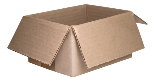 Caja De Cartón 20x15x10 Cm (100 Piezas) E-commerce Envió C06