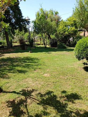 Casa Quinta A Tan Sólo 13 Cuadras De La Plaza Pedernera. En Villa Mercedes, San Luis. De 1875 M2. Ideal 2 Familias, 6 Ambientes, Pileta. Venden Dueños Directos.