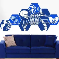 Comprar Vinil Sticker Decorativo Consultorio Ortopedia