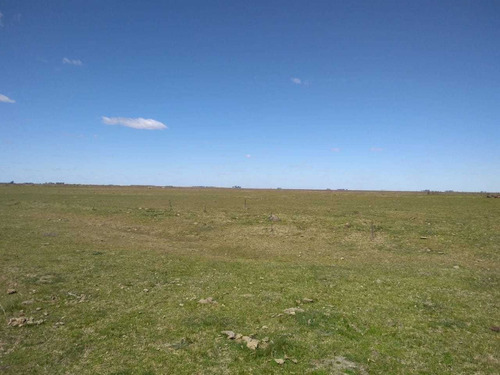Vendo Campo De 226 Ha