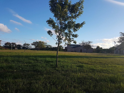 Imagen 3 de 12 de Últimos Terrenos En Barrio Privado - Jardines De Granada!