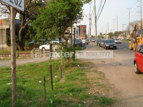 Imagem 2 de 9 de Terreno, 3660 M², São Sebastião - 8310