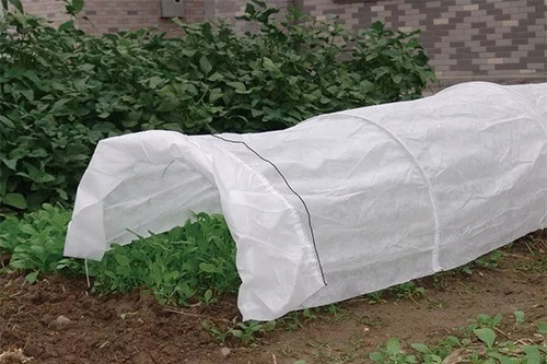 Tela Térmica Antihelada Plantas Y Cultivos - 4m X 25m