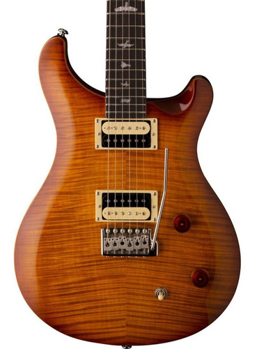Guitarra Eléctrica Prs Se Series Custom 22 Con Funda