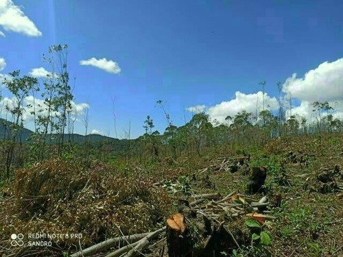 (k.a) Venha Conferir 1.000m2 Preços Baixos