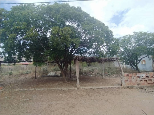 Imagen 4 de 9 de Terreno En Sector El Tuey, San Juan Bautista, Municipio Díaz