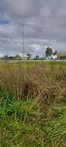 Terreno En Venta En Ciudad Del Plata. Playa Pascual