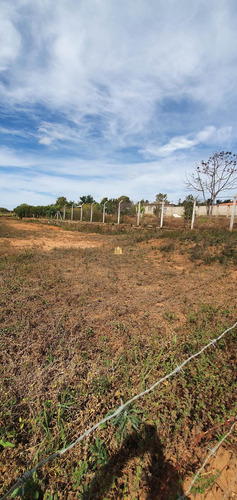 Imagem 27 de 28 de Terreno Em Esmeraldas - Te00533 - 71042734