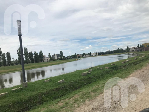 Imagen 6 de 10 de Venta Terreno - La Faustina