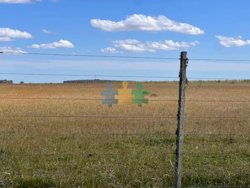 Campo En Durazno, 687 Hectáreas En Venta - Ref : Eqp6831