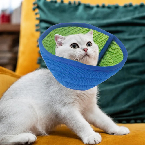 Collar Para Perros Y Gatos Cono De Recuperación Para Gatito
