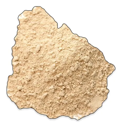 Cebolla En Polvo Molida - Excelente Calidad - 500g Envio