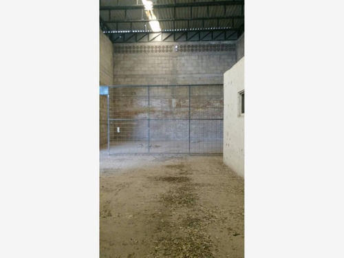 Imagen 6 de 12 de Bodega Comercial En Renta Reserva Tarimoya I