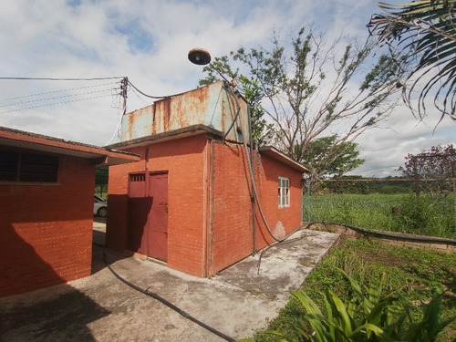 Imagen 14 de 15 de Finca En Tinaquillo. Sof001. Lsl