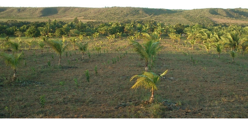 Chácara/sítio Em Esplanada Ba, Com 7 Hectares Com Casa E Rio