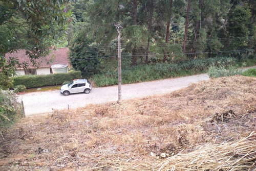 Imagem 6 de 6 de Terreno Para Venda Em Teresópolis, Vale Feliz - Tr957_2-1223752