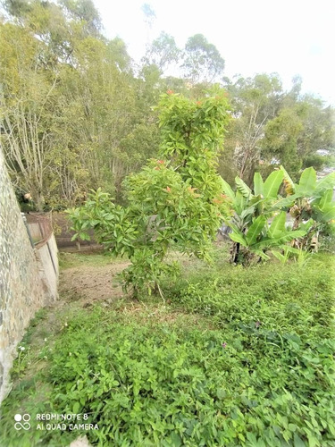 Imagen 6 de 12 de Terreno Urb San Gabriel