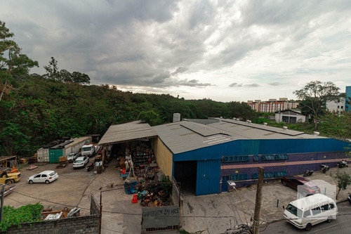 Imagem 12 de 14 de Apartamento À Venda No São Francisco - Código 324729 - 324729