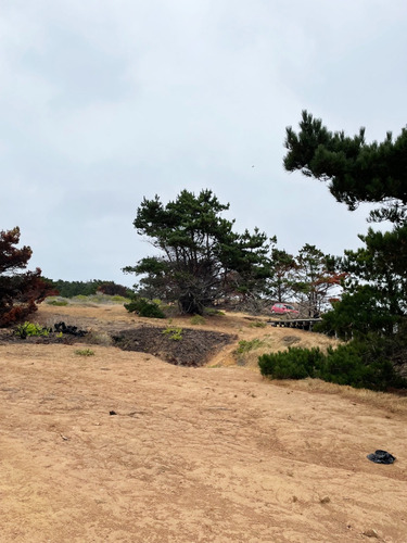Frente Al Mar : Parcela De 16.000 M2 En Fundo Curaimilla