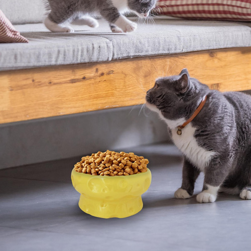 Plato Para Comida De Gatos Bebedero Resistente Cuenco De Cer