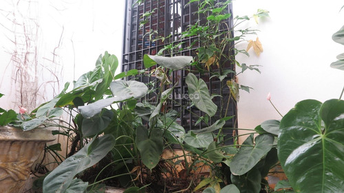Imagem 5 de 23 de Casa À Venda Em Centro - Ca006670
