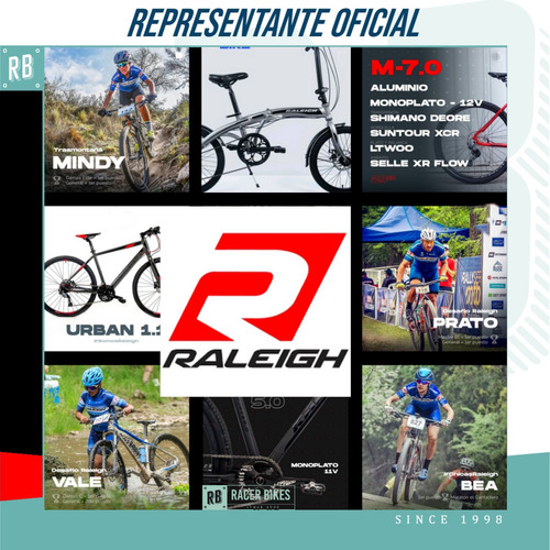 Imagen 4 de 10 de Cortacadena Para Bicicleta Raleigh Engomado - Racer Bikes
