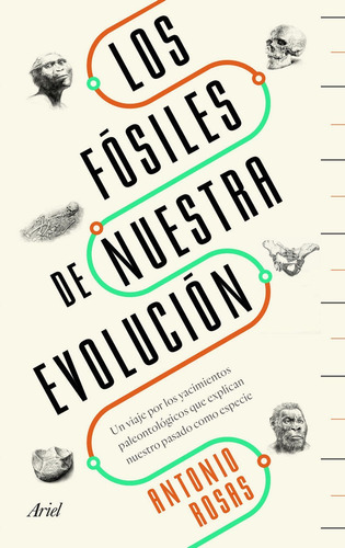 Fosiles De Nuestra Evolucion,los - Antonio Rosas