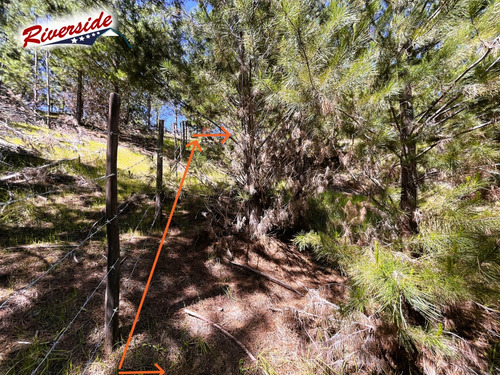 Parcela Con Gran Bosque, Ideal Para Refugio, Bucalemu